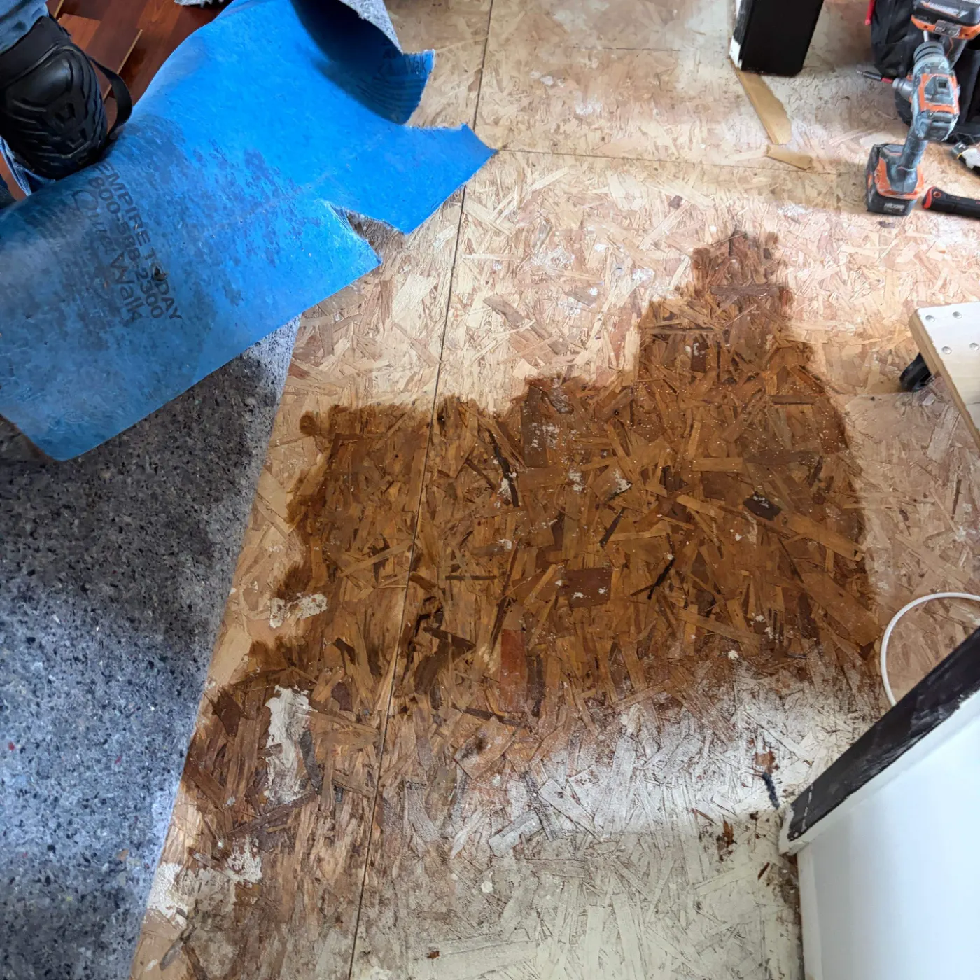 Thermal imaging during water damage assessment in Brooks Chase residence
