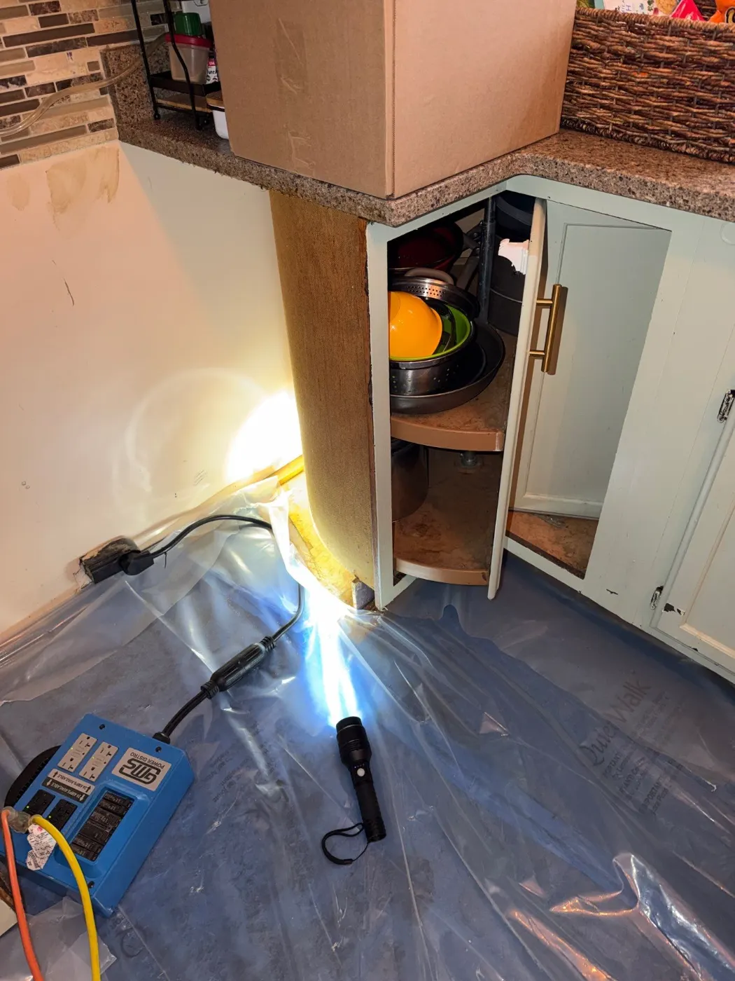 Restoration in Brooks Chase